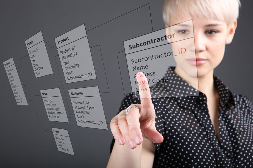 fields in CRM software