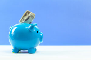 Xero cost